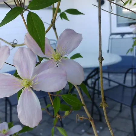 Apartment Kleine Auszeit Nr 1 Maasholm
